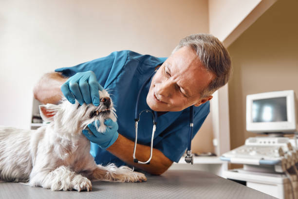 Best Emergency Tooth Extraction in Brices Creek, NC